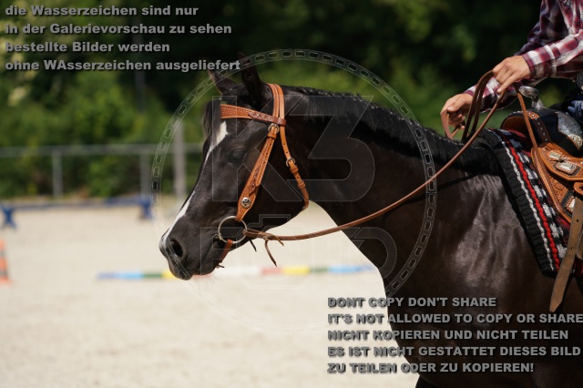s_K3F02194.JPG